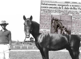 Eapic e as exposições agropecuárias de São João da Boa Vista