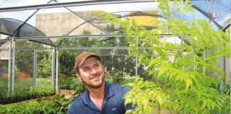 Sanjoanenses promovem ações para proteger a natureza