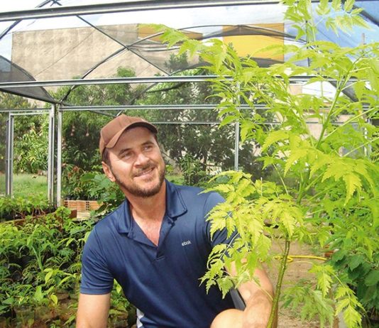Sanjoanenses promovem ações para proteger a natureza