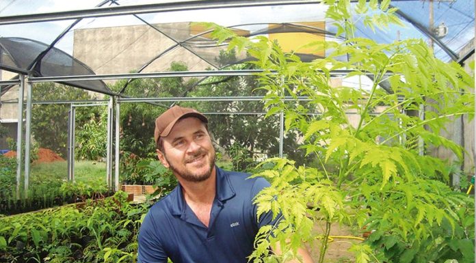 Sanjoanenses promovem ações para proteger a natureza Sanjoanenses promovem ações para proteger a natureza